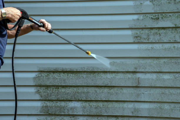 Best Exterior Home Cleaning  in Breckinridge Center, KY