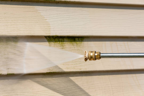Best Roof Power Washing Services  in Breckinridge Center, KY
